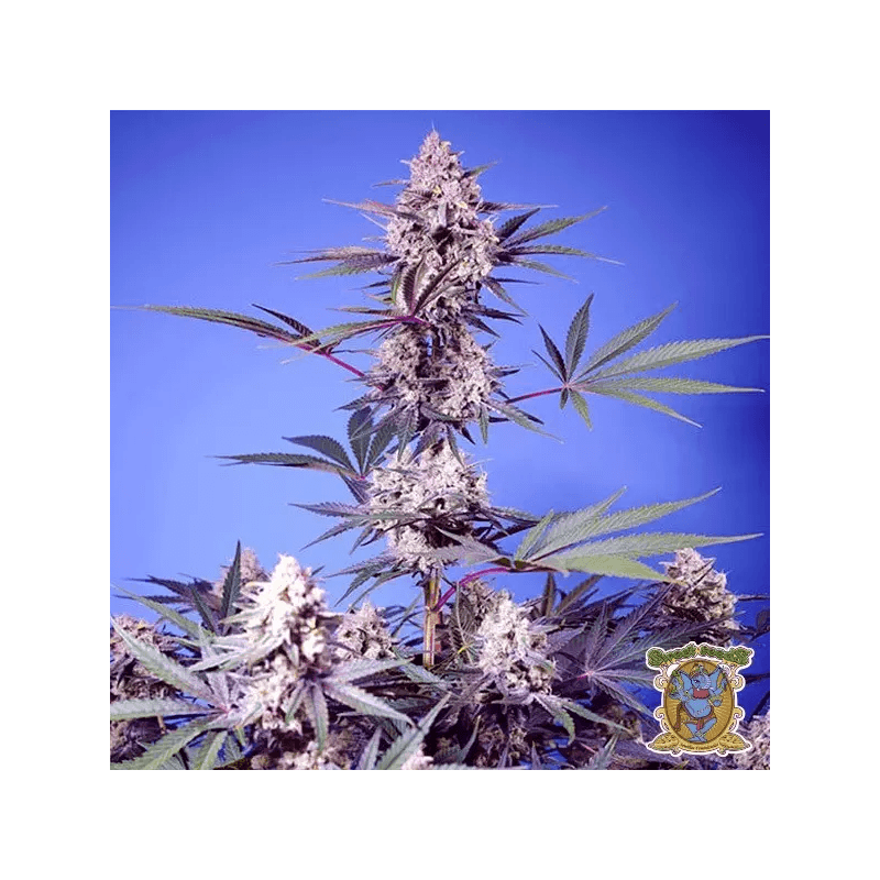 Sweet Monster Mix, Фасовка: 4, изображение 2